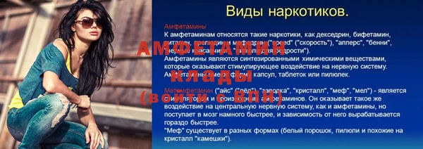 бошки Алексин