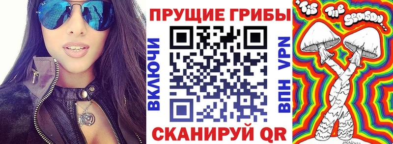 Псилоцибиновые грибы Cubensis  Лениногорск 
